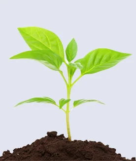 10_reference-junge-w276