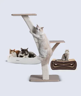 15_reference-petrhein-w276